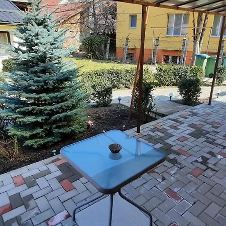 Cozy House Decebal בית נופש *