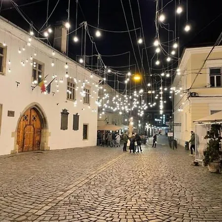 Cozy House Decebal בית נופש