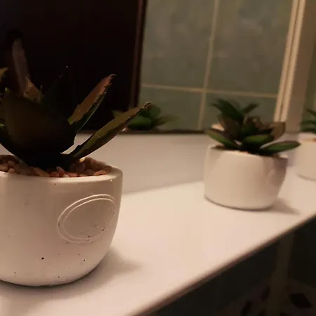 酒店 Cozy House Decebal 克卢日-纳波卡