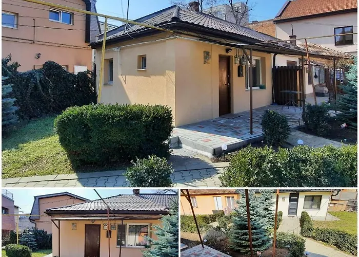 Hotel Cozy House Decebal 3*