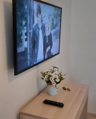 Hotel Cozy House Decebal