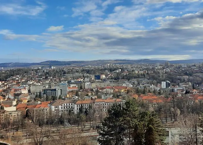 Cozy House Decebal 3* Cluj-Napoca