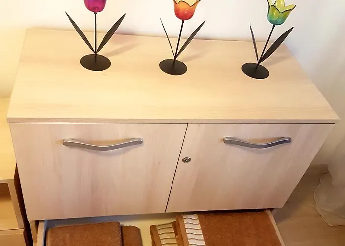 Hotel Cozy House Decebal 3*