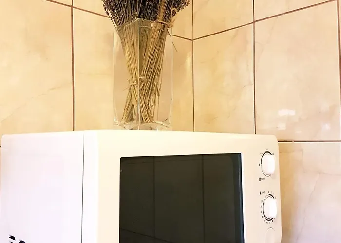 Cozy House Decebal 3*