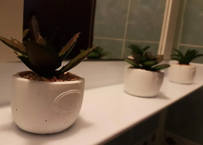 Hotel Cozy House Decebal Kluž