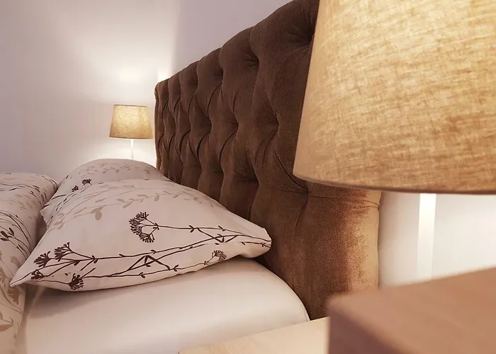 Cozy House Decebal 3*