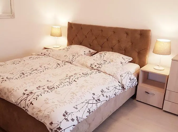 Cozy House Decebal 3*