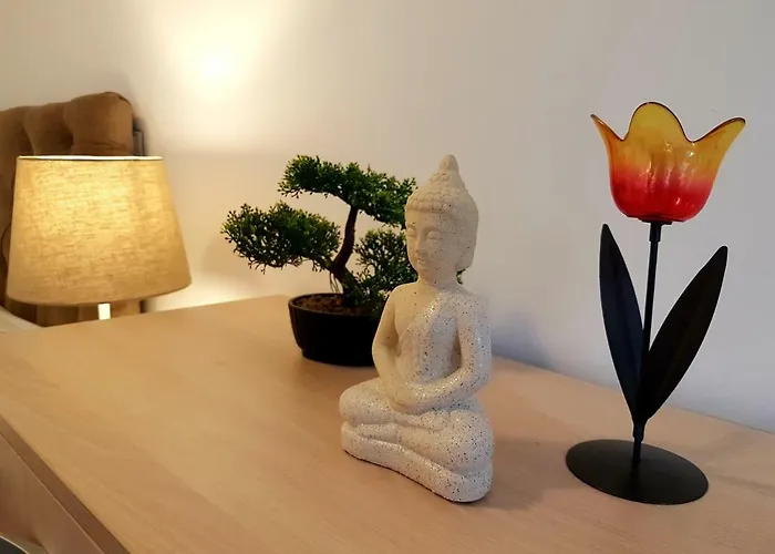 Cozy House Decebal 3*